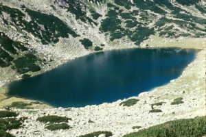 A kedvenc tengerszem, a Gáles