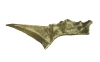 Struthiosaurus páncéldarab Struthiosaurus páncéldarab