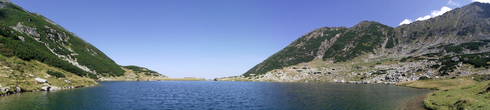 fejlec