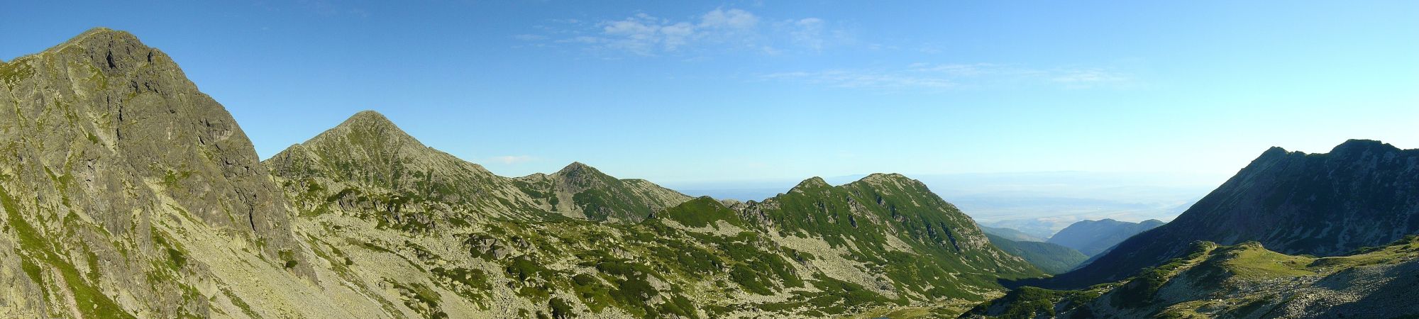 fejlec