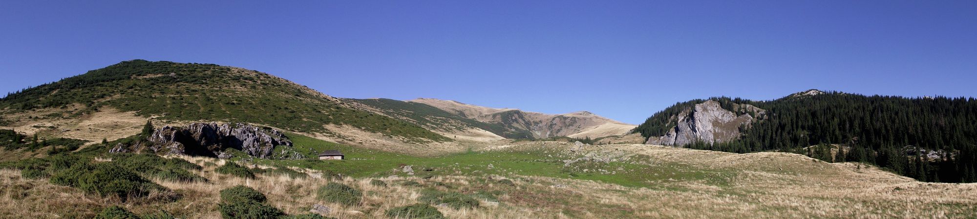fejlec